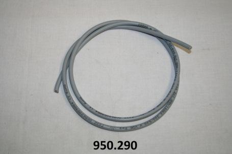950.290.jpg